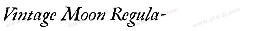 Vintage Moon Regula字体转换